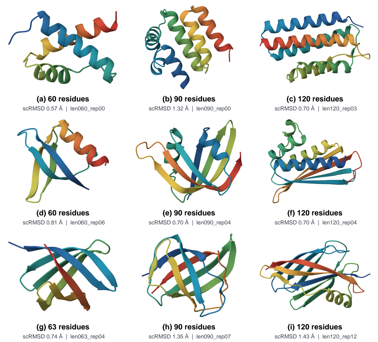 Generated SCOPe Proteins Gallery